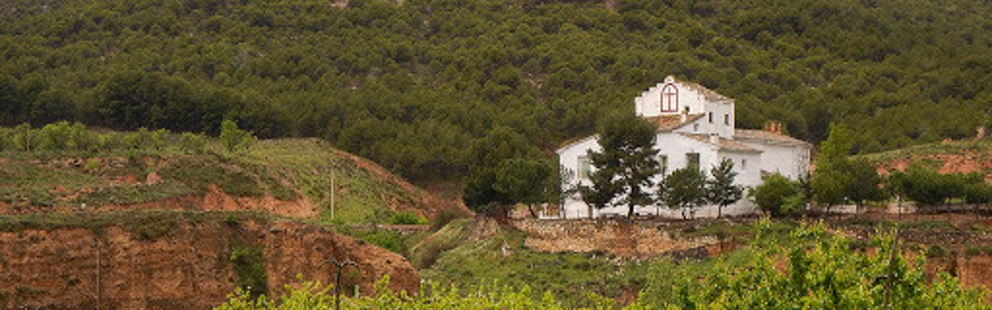 Ribota